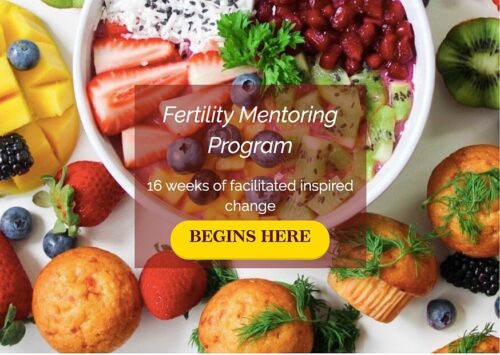 HelenZee.com Fertility-Mentoring-16W-Program-500x355  