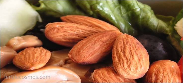 HelenZee.com almond  