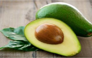 HelenZee.com avocado-320x202  