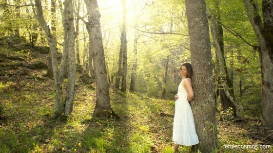HelenZee.com fertilecosmos  